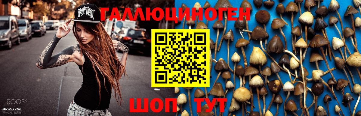 Галлюциногенные грибы Magic Shrooms Узловая