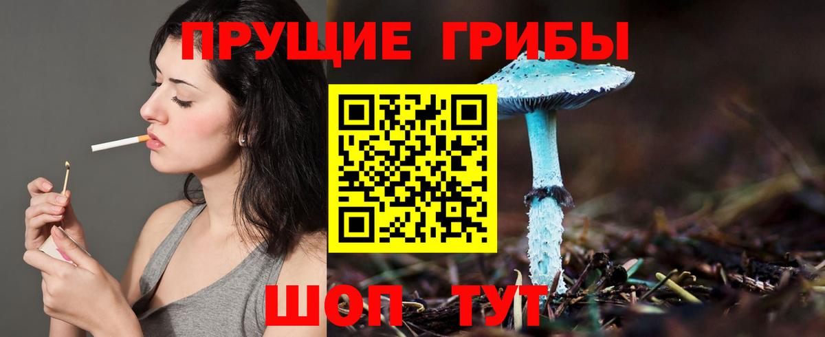 Узловая  Галлюциногенные грибы прущие грибы  Вход с VPN 